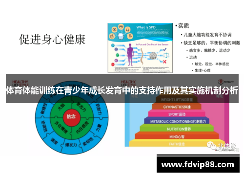 体育体能训练在青少年成长发育中的支持作用及其实施机制分析