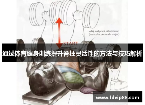 通过体育健身训练提升脊柱灵活性的方法与技巧解析